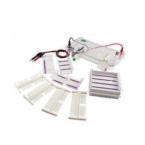 BIOBASE PCR Laboratorio DNA/RNA Elettroforesi Macchina Orizzontale Elettroforesi Serbatoio (ET-H3) - Product Image 3