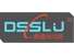 Qingtian Dingsheng Leisure Chair Co., Ltd. logo