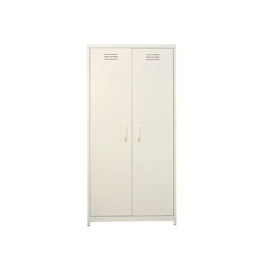 Simple design clothes wardrobe locker 2 door living room colorful painting almirah
