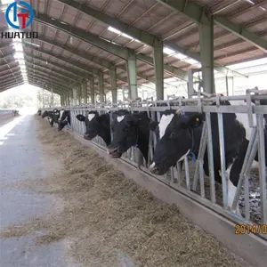 Low Cost Stahl konstruktion Farm Cattle Barn Geflügels tall in Pakistan