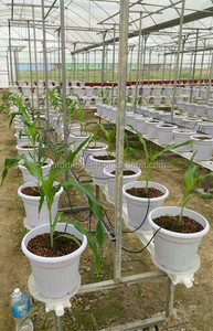 Casera sistema hidropónico de cultivo hidropónico de - Product Image 3