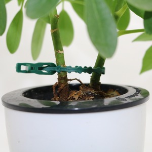 Clips de greffage pour plantes de jardin, 5 pièces, attaches pour légumes de serre, boucle de vigne nouée - Product Image 2