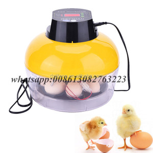 고품질 8 계란 인큐베이터 만든 중국 제조 업체 - Product Image 1