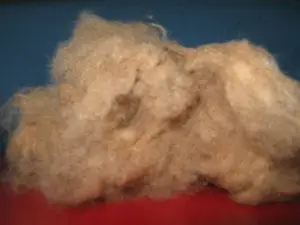 Dehaired-<span class=keywords><strong>laine</strong></span> de <span class=keywords><strong>cheveux</strong></span> chameau, blond - Product Image 1