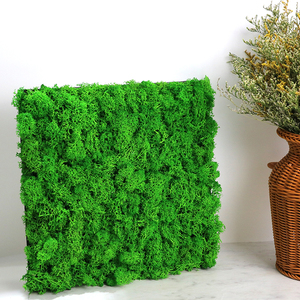 Home Decoration Real Natural Preserved Moss Wall Panel Natural Green Moss Stabilized Reindeer Moss