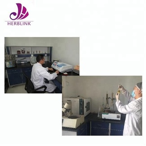 Hoge Kwaliteit Natuur ruscus aculeatus wortel extract/Slager bezem extract - Product Image 4