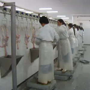 Schlachtung maschinen geflügel 3000 vögel pro stunde schlachtung huhn maschine halal huhn schlachthof maschine