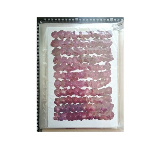 Flor prensada Real seca Hortensia - Product Image 1