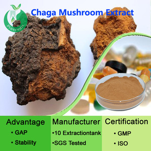 OEM الصين مسحوق مستخلص من النبات استخراج Chaga - Product Image 5