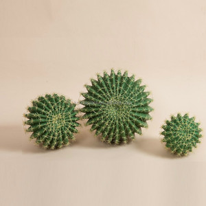 Plantas de Cactus Artificiales Verdes para Exteriores, Cactus Artificiales, Oferta - Product Image 3