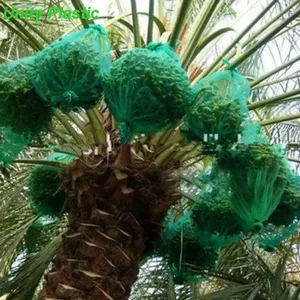 80 x 100厘米绿色单丝 HDPE 日期树日期棕榈网状袋，用于日期覆盖黑色抽绳