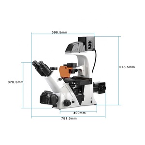 Médico/laboratorio/<span class=keywords><strong>hospital</strong></span> 400X Trinocular invertida de fluorescencia microscopio biológico - Product Image 4