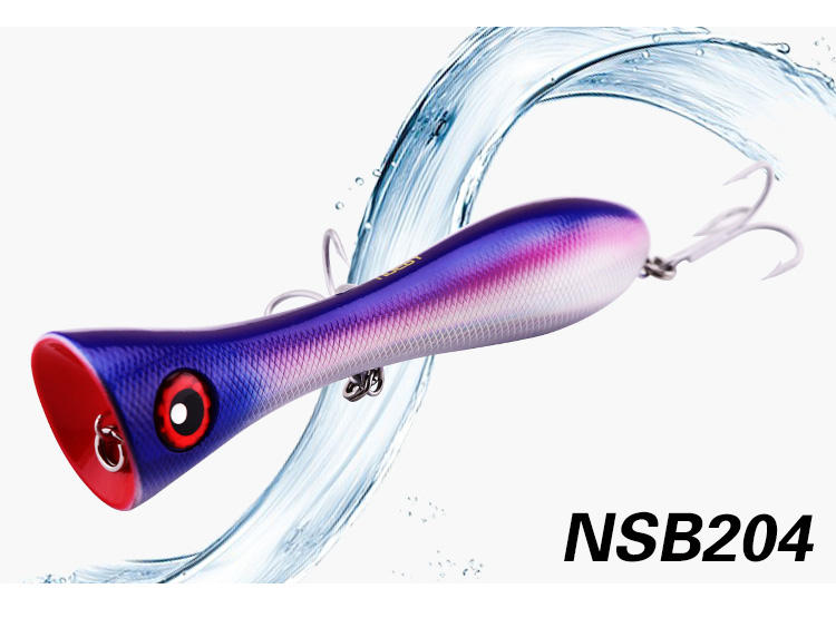 NSB204