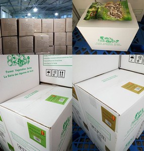 Pleurotus Ostreatus Jamur Tiram Kering, Kualitas Tinggi Buah Buah Kerang Jamur Pleurotus Ostreatus Jamur Shiitake - Product Image 4
