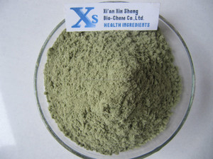 Gmp casher naturel Moringa laisser poudre / Moringa oleifera poudre - Product Image 1