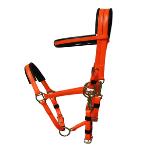 Écologique <span class=keywords><strong>cheval</strong></span> d'endurance racing bride, rein et cuirasse - Product Image 6