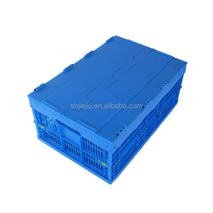 Casier pliable pour fruits, Structure personnalisée, solide, en plastique, avec couvercle pour légumes, pommes de terre, vente en gros - Product Image 2