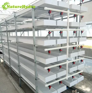 Hydroponic barley fodder crops green fodder system for livestock