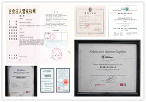 Multivitamínico Líquido Vegano Sin Azúcar para el Crecimiento del Cabello, para Mujeres Mayores de 18 Años, Sin Lácteos, Dosis Oral, No Apto para Mujeres Embarazadas - Product Image 6