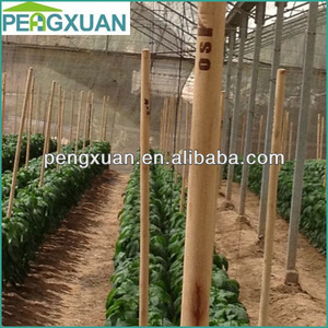 Productos <span class=keywords><strong>de</strong></span> Jardinería al por Mayor, Estaca <span class=keywords><strong>de</strong></span> Madera Natural con Logotipo Estampado en Caliente - Product Image 4
