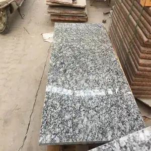 Đẹp Phun Trắng Granite Slab Cho Tầng/Lát/Hồ Bơi Và Phòng Khách