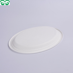 จานกระดาษเป็นมิตรต่อสิ่งแวดล้อม,กระดาษชานอ้อยแบบใช้แล้วทิ้ง10" - Product Image 5