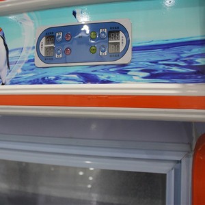 Vertical para plato serie protagonizada pantalla compresor del refrigerador 12vr / solar refrigerador / frigorífico congelador - Product Image 6