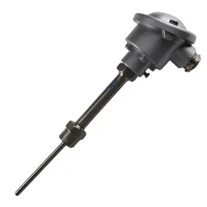 Wzp-230 Fixe Bolt Thermische Weerstand Pt100 Rtd Temperatuursensor