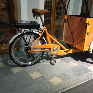 Vélo électrique à 3 roues pour adulte, Tricycle danois 200-250W, pédales d'assistance, en cuir - Product Image 3