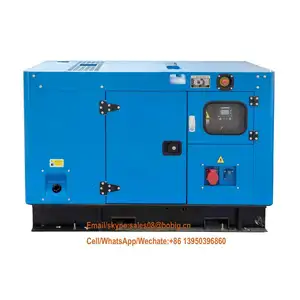 12 v 24 v 110 v/220 v/230 v/240 v/380 v/400 v/415 v/440 v aperto baldacchino diesel generatore di energia elettrica di tipo silenzioso