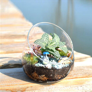Dekoratives Boro silikat glass chale <span class=keywords><strong>Terrarium</strong></span> - Product Image 1