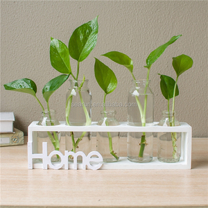 Set di Vasi in Legno e Vetro per Decorazione da Scrivania, <span class=keywords><strong>Vaso</strong></span> per Epipremnum Aureum Senza Accessori per Decorazione Domestica - Product Image 1