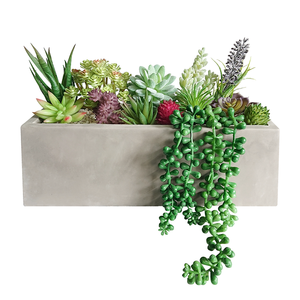 Set di 13 <span class=keywords><strong>Piante</strong></span> Succulente <span class=keywords><strong>Artificiali</strong></span> Assortite di Alta Qualità in Vaso di Cemento Rettangolare Fatto a Mano, Ecologico e Rustico - Product Image 1