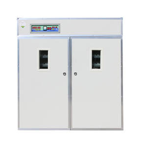 JF-2640 Nuova Incubatrice Automatica per 1000 Uova di Gallina, Capacità 2640 Uova - Product Image 1