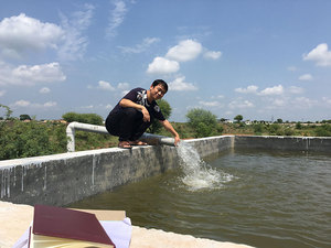 4PSS AC/DC היברידי Brushless מאיץ נירוסטה שמש אנכי עמוק גם מים משאבות - Product Image 6