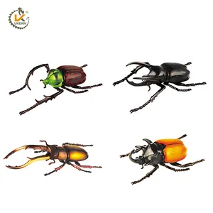 Cheap Price Plastic 3d Beetle Model Toys Insect Model Toy For Kids Scientific Education Set