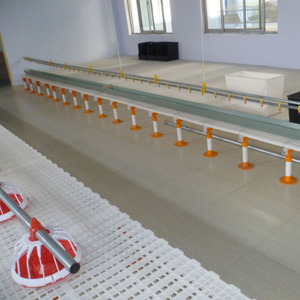 Piso de Rejilla de Plástico para Gallinero, Venta Caliente en China, 1200*500*40mm, Piso de Rejilla de Plástico para Gallinero - Product Image 5