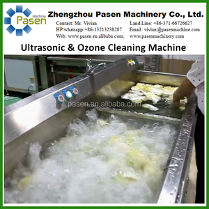 Réservoir simple Chicorée Machine À Laver Légumes Fruits Machine de Nettoyage avec Système D'ozone - Product Image 2