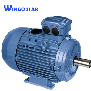 Trifásico Auto Motor eléctrico - Product Image 2