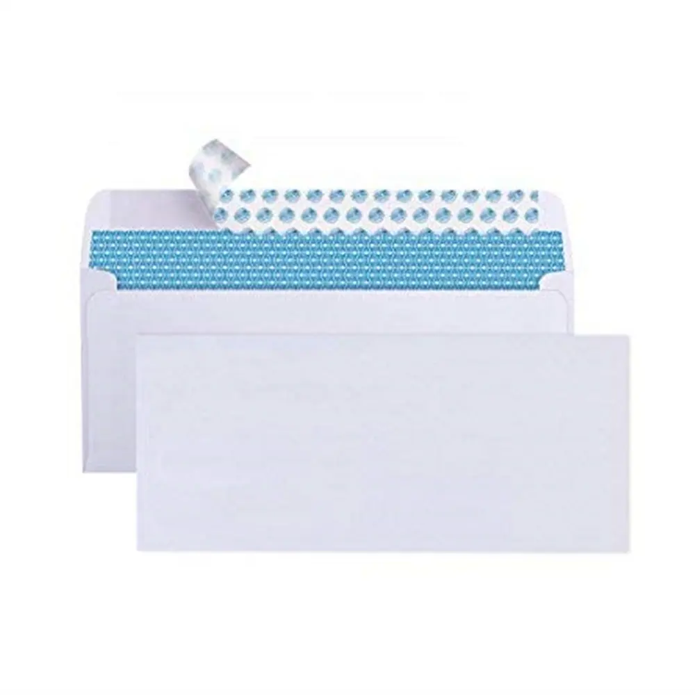 Hot Sales #10 Security Self-Seal Mailing Enveloppen Met Windowless Ontwerp