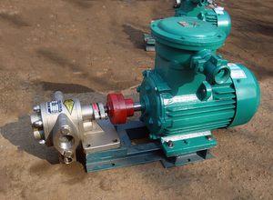 น้ำมันปรุงอาหารปั๊ม/น้ำมันพืชปั๊มสำหรับทอดไหลเวียนของน้ำมัน - Product Image 5