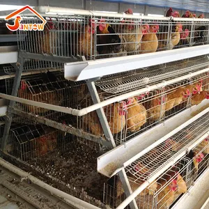 Automatic cleaning machine PP belt manure removal system for chicken cage