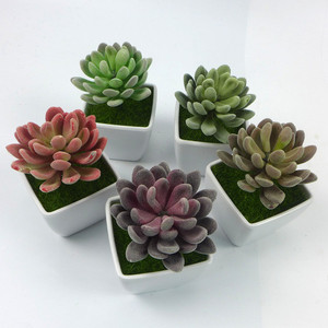 V-3205 Fiori di Loto in Plastica Floccata Vendita Calda <span class=keywords><strong>Piante</strong></span> <span class=keywords><strong>Artificiali</strong></span> Succulente in Set - Product Image 2