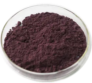 High Quality Cyanidin Wild Dried Black Wolfberry Goji Berry Anthocyanin Extract Powder Organic Black Goji Berry