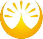 Shandong Weishi Lighting Technology Co., Ltd.