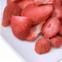 Gezonde Snack Voor Alle Leeftijden Chinese Droog Fruit Gevriesdroogde Aardbei
