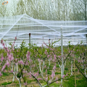 <span class=keywords><strong>Red</strong></span> de protección para el jardín/aves de compensación para las aves/de aves <span class=keywords><strong>contra</strong></span> la <span class=keywords><strong>red</strong></span> de protección - Product Image 4