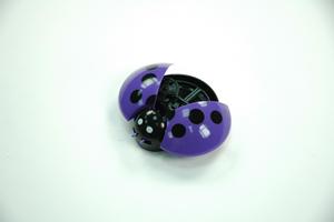 30% de réduction sur le moule en plastique de coccinelle de couleur violette et les pièces de moulage désodorisant - Product Image 3