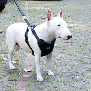 Voiture de luxe Gilet De Sécurité Chien Harnais Gilet De Dressage Pour Chien De Voyage Véhicule Harnais Pour Animaux De Compagnie Avec Ceinture de sécurité - Product Image 1