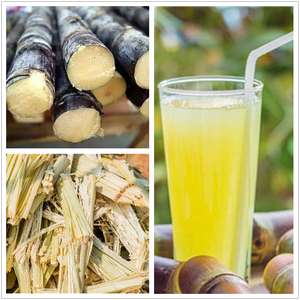 サトウキビジューサー新デザイン良質大容量 - Product Image 6